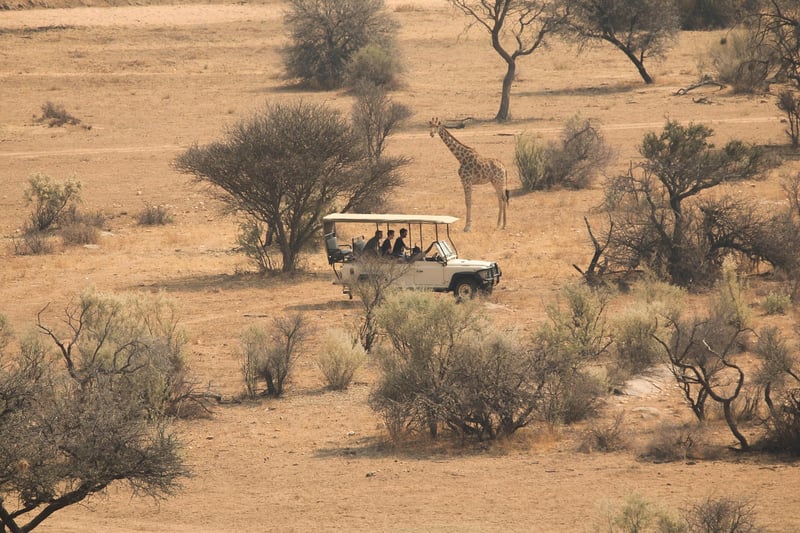 Join wildlife tours